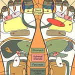 Refleksologija2-620x350