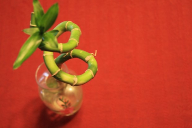 Foto: Nostaw21 / photo on flickr