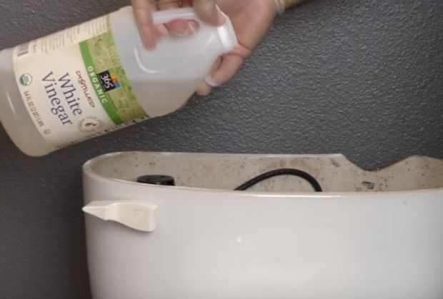 sirce-vodokotlic-foto-printskrin