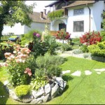 srb-dvoriste-bajka-(4)