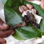 Foto: Rolf Haid/DPA/Pixsell