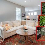 dnevna-soba-biljke-620x350