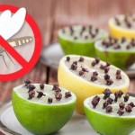 insekti-vas-nece-gnjaviti-5