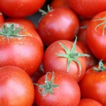 Paradajz