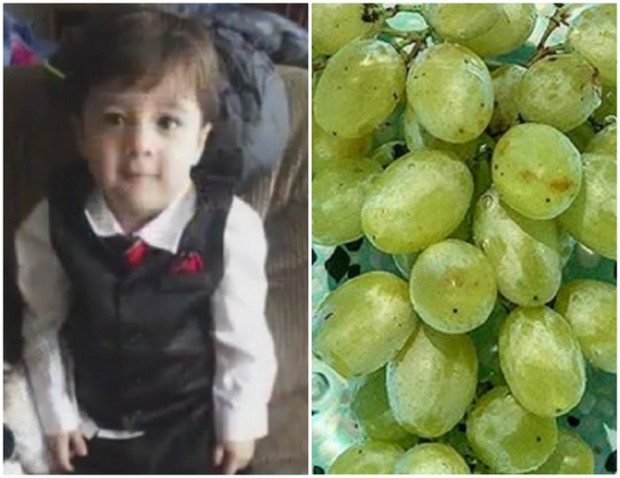 dijete-grozdje