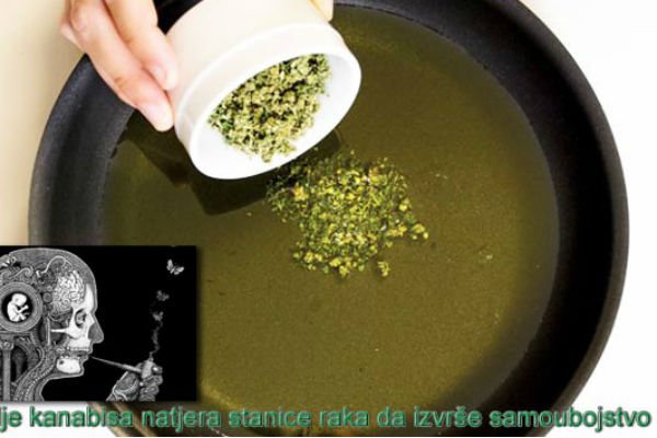 ulje-kanabisa