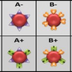 krvne-grupe