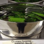 izlijecite-se-dijabetesa