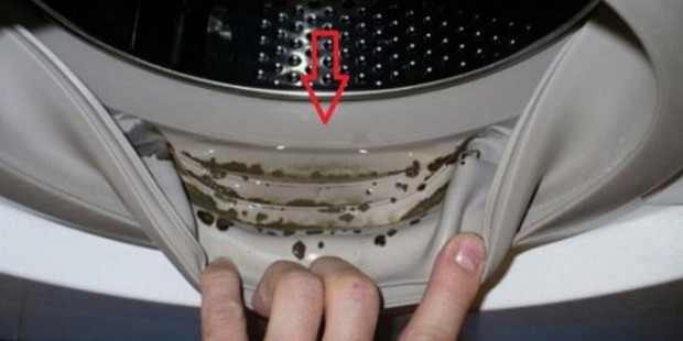 Genijalan-kućni-trik-Eliminišite-buđ-i-neprijatan-miris-iz-vaše-veš-mašine-u-jednom-potezu-660x330