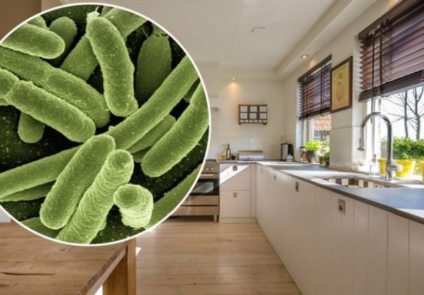 kuhinja-bakterija-690x480