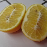 foto: Imgur/TMexCandy