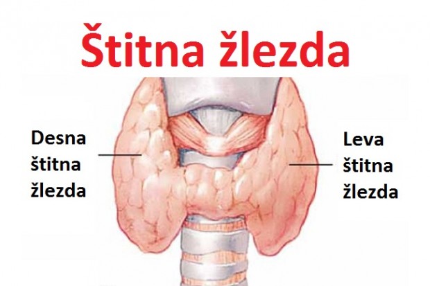 stitna-zl