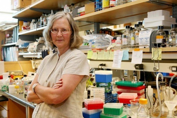 Dr-Elizabet-Blekburn-640x426