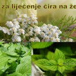 Lijek-za-liječenje-čira-na-želucu