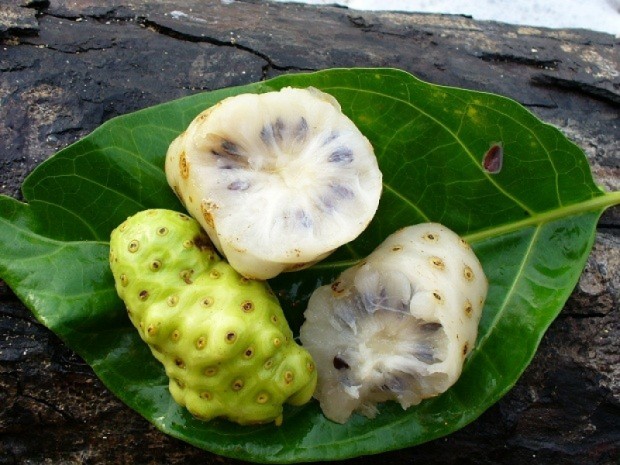 Noni