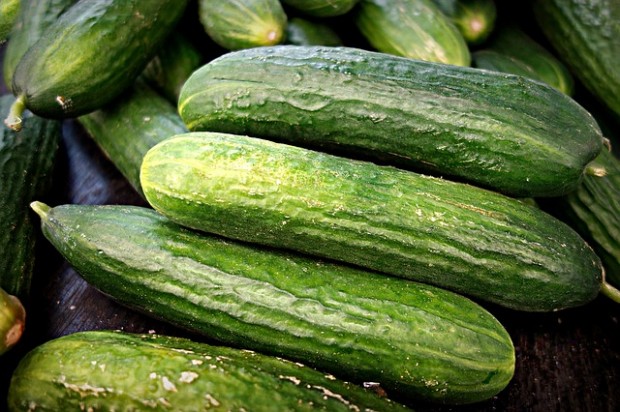 cucumber-1522921_640