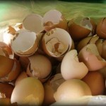 ljuska-od-jaja (1)