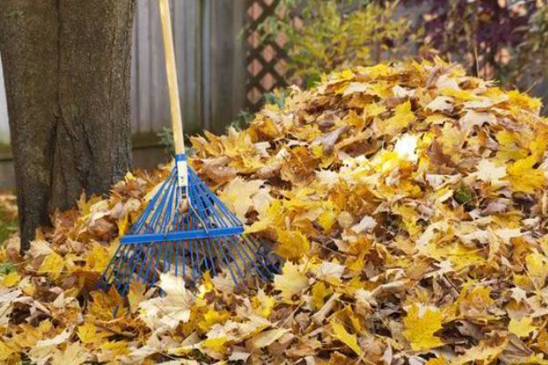 Enterijer-odrzavanje-baste-u-septembru (2)