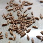 cumin-seeds-3375691_960_720