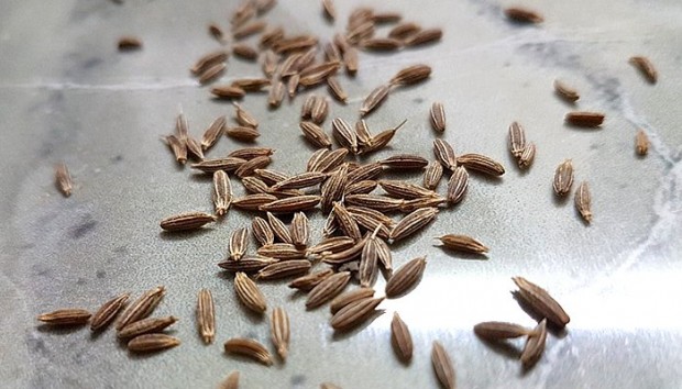 cumin-seeds-3375691_960_720