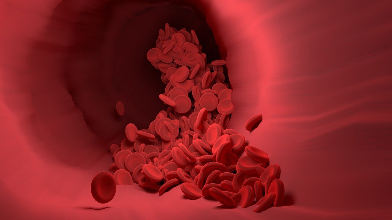 red-blood-cell-4256710_1280
