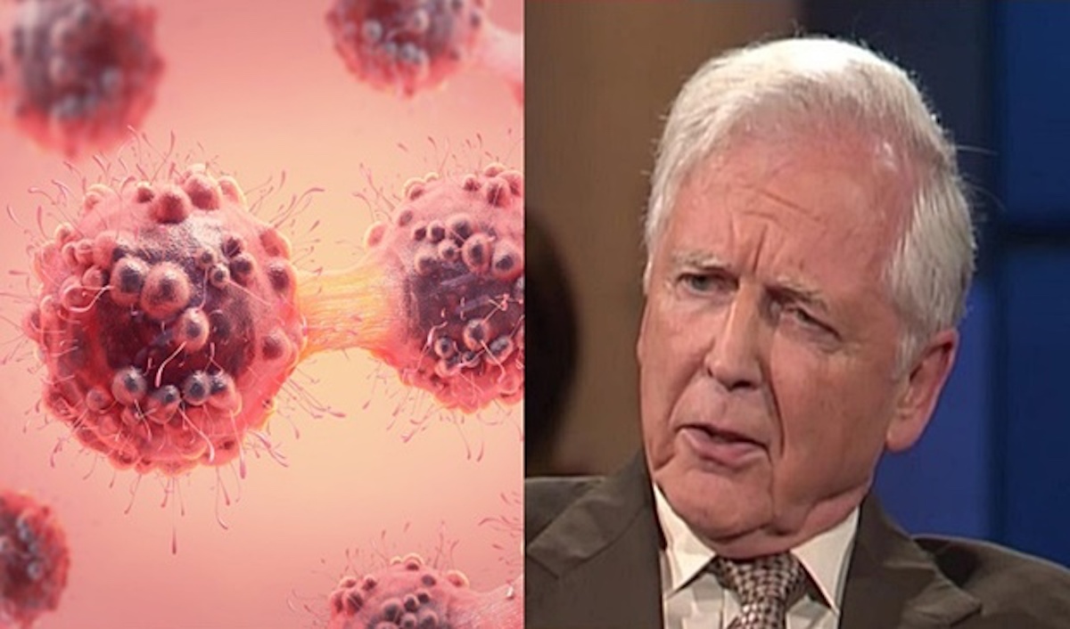 3d illustration of a cancer cell in the process of mitosis