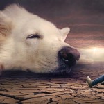 fantasy-2890925_1280