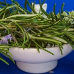 rosemary-1409063_1280
