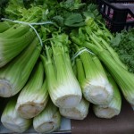 celery-248156_1280