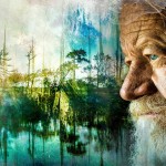 neck-point-2666457_1280