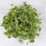 watercress-4153774_1280
