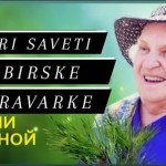 8 zlatnih pravila sibirske travarke-