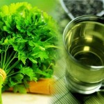 Na ovaj način se pije čaj od peršuna ako želite da smršate: 5 dana je dovoljno