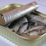 sardine