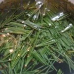 SIRUP OD BOROVIH IGLICA: Liječi kašalj, bronhitis, upale pluća i grla !!! RECEPT!