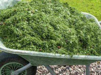 NIKAD NEMOJTE BACATI POKOŠENU TRAVU, samo uradite ovo! Može biti bolje od gnojiva